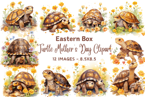 Download Eastern Box Turtle Mother's Day Clipart - Mother Collection